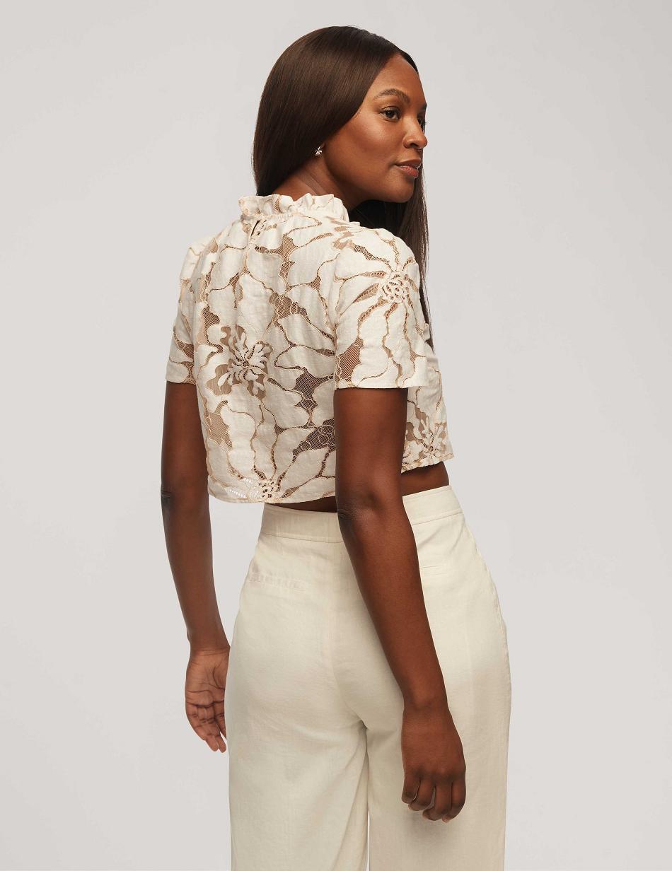 Anne Klein Floral Embroidered Lace Cropped Blouse Tops White | LUSTR30524